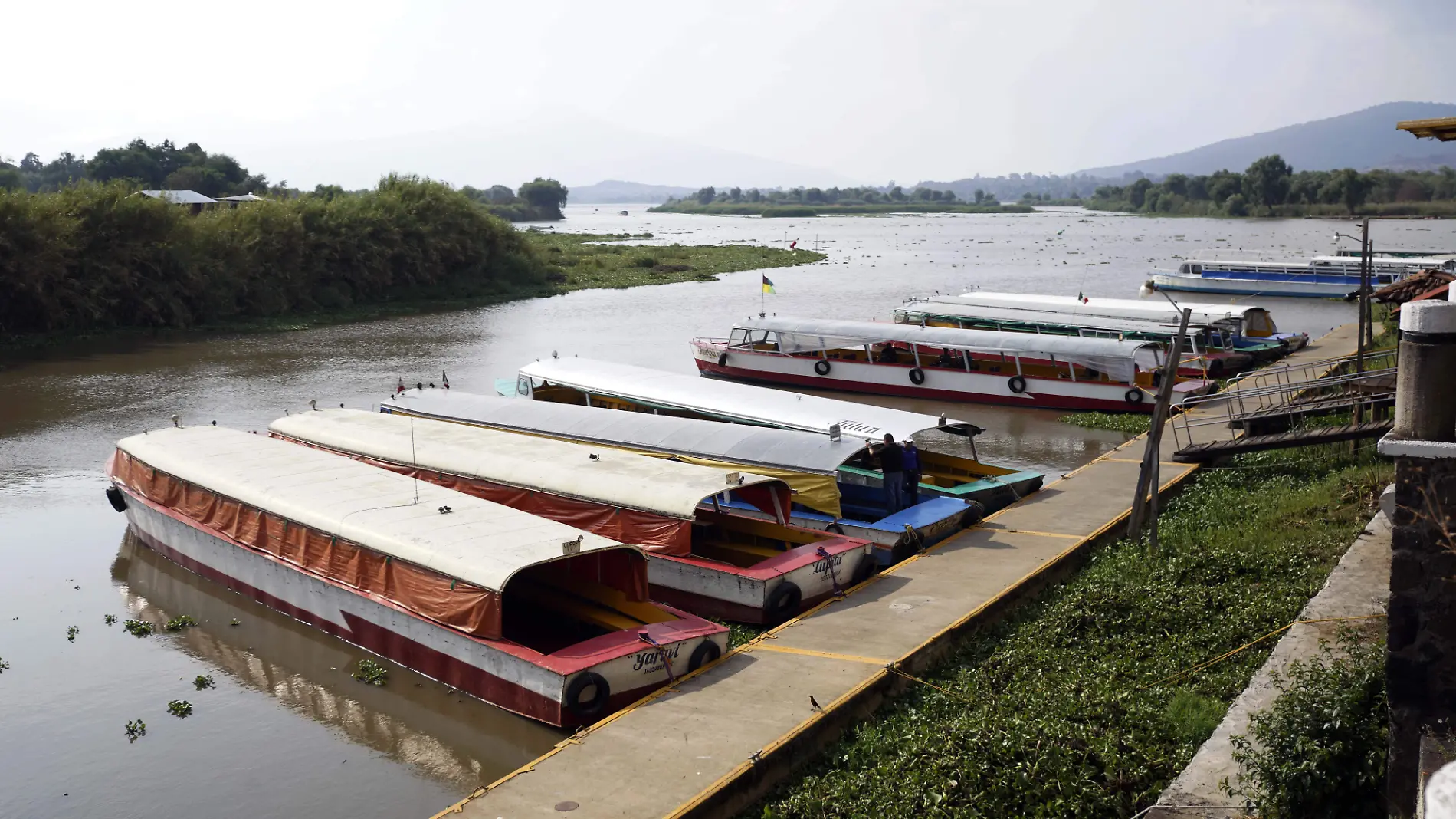 LAGO PATZCUARO_AJO (6)